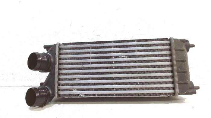 Gebruikte Intercooler Citroen DS4 Prijs € 13,00 Margeregeling aangeboden door Van der Ven Autorecycling B.V.
