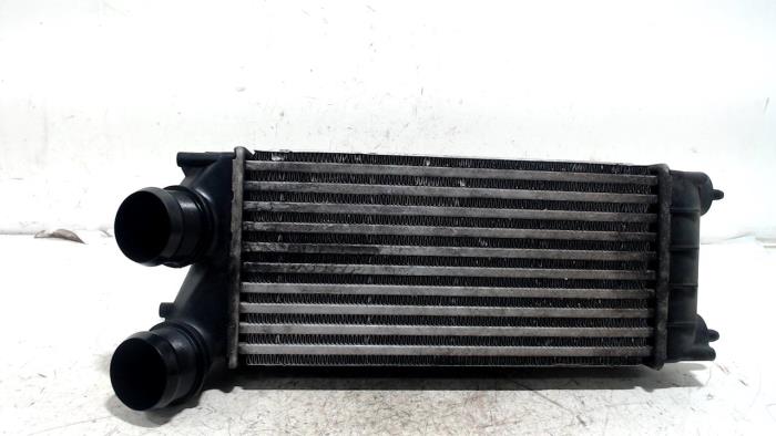 Gebruikte Intercooler Peugeot 5008 Prijs € 13,00 Margeregeling aangeboden door Van der Ven Autorecycling B.V.