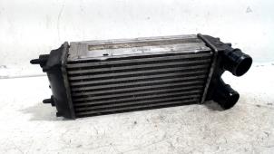 Gebruikte Intercooler Ford Fiesta Prijs € 12,00 Margeregeling aangeboden door Van der Ven Autorecycling B.V.
