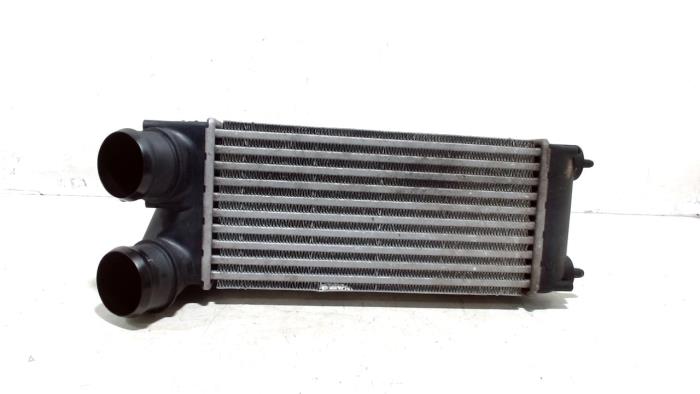 Gebruikte Intercooler Peugeot 3008 Prijs € 15,00 Margeregeling aangeboden door Van der Ven Autorecycling B.V.