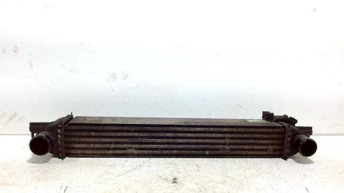 Gebruikte Intercooler Citroen Nemo Prijs € 25,00 Margeregeling aangeboden door Van der Ven Autorecycling B.V.