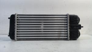 Gebruikte Intercooler Peugeot 207 Prijs € 35,00 Margeregeling aangeboden door Van der Ven Autorecycling B.V.