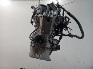 Gebruikte Motor Ford Focus Prijs € 2.149,00 Margeregeling aangeboden door Van der Ven Autorecycling B.V.