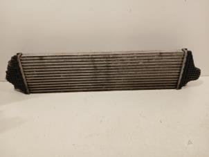 Gebruikte Intercooler Ford Focus Prijs € 122,00 Margeregeling aangeboden door Van der Ven Autorecycling B.V.