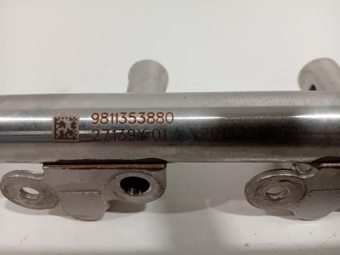 Galerij (Injectie) van een Citroen DS4 2022