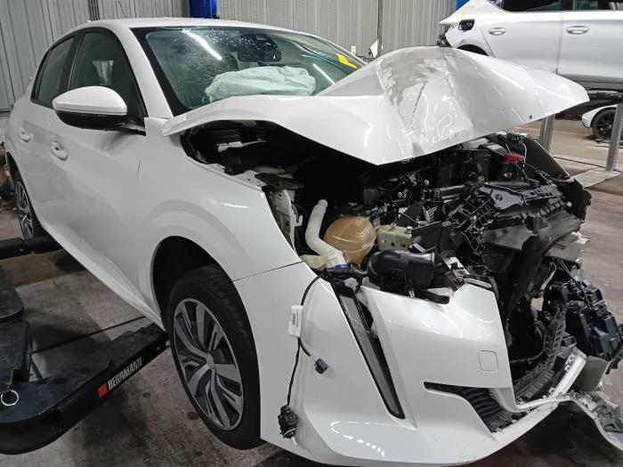 Computer Diversen van een Peugeot 208 2020