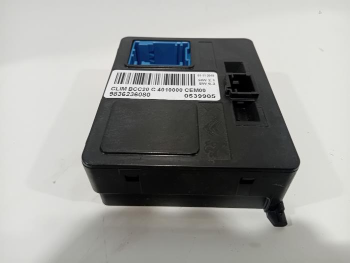 Computer Diversen van een Peugeot 208 2020