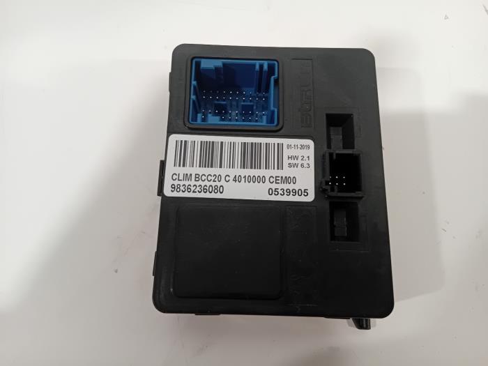 Computer Diversen van een Peugeot 208 2020