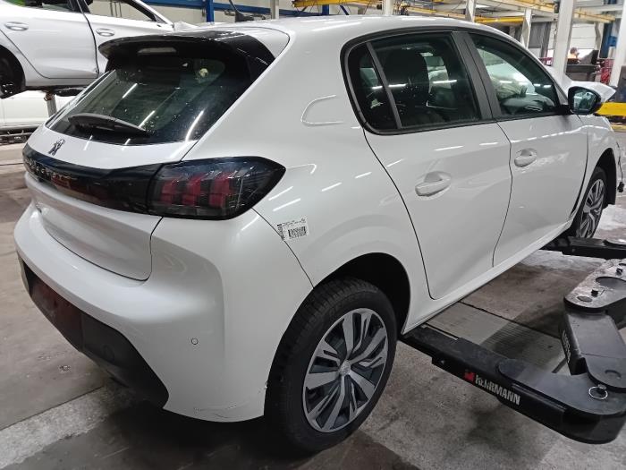 Computer Diversen van een Peugeot 208 2020