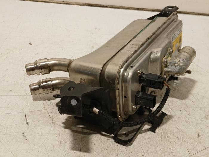 Koeling Module van een BMW 5-Serie 2020
