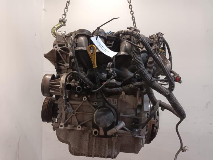 Gebruikte Motor Ford Focus Prijs € 699,99 Margeregeling aangeboden door Van der Ven Autorecycling B.V.