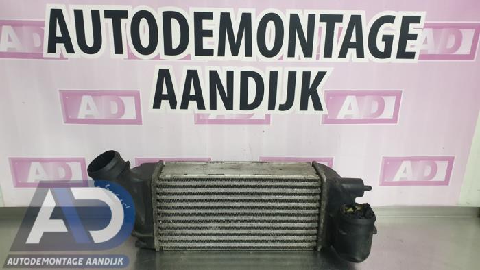 Gebruikte Intercooler Citroen C4 Picasso (UD/UE/UF) 2.0 HDiF 16V 135 Prijs € 49,99 Margeregeling aangeboden door Autodemontage Aandijk