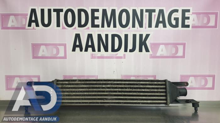 Gebruikte Intercooler Fiat Punto Evo (199) 1.3 JTD Multijet 85 16V Prijs € 34,99 Margeregeling aangeboden door Autodemontage Aandijk