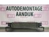 Fiat Punto Evo (199) 1.3 JTD Multijet 85 16V Intercooler