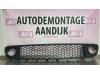 Fiat Punto Evo (199) 1.3 JTD Multijet 85 16V Bumper Rooster