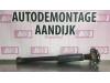 Fiat Punto Evo (199) 1.3 JTD Multijet 85 16V Schokbreker rechts-achter