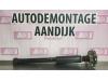 Fiat Punto Evo (199) 1.3 JTD Multijet 85 16V Schokbreker links-achter