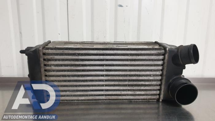 Gebruikte Intercooler Ford Fiesta 6 (JA8) 1.6 TDCi 16V 90 Prijs € 49,99 Margeregeling aangeboden door Autodemontage Aandijk