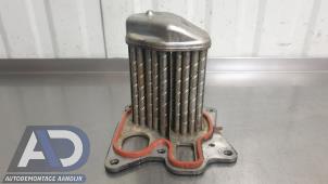 Gebruikte EGR koeler Opel Insignia 2.0 CDTI 16V 140 ecoFLEX Prijs € 99,99 Margeregeling aangeboden door Autodemontage Aandijk