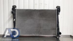 Gebruikte Radiateur Fiat Grande Punto (199) 1.3 JTD Multijet 16V VGT Prijs € 39,99 Margeregeling aangeboden door Autodemontage Aandijk