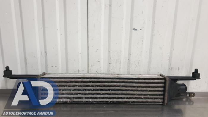 Gebruikte Intercooler Fiat Grande Punto (199) 1.3 JTD Multijet 16V VGT Prijs € 34,99 Margeregeling aangeboden door Autodemontage Aandijk