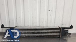 Gebruikte Intercooler Fiat Grande Punto (199) 1.3 JTD Multijet 16V VGT Prijs € 34,99 Margeregeling aangeboden door Autodemontage Aandijk