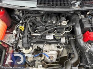 Gebruikte Versnellingsbak Ford Fiesta 6 (JA8) 1.0 SCI 12V 80 Prijs € 499,99 Margeregeling aangeboden door Autodemontage Aandijk