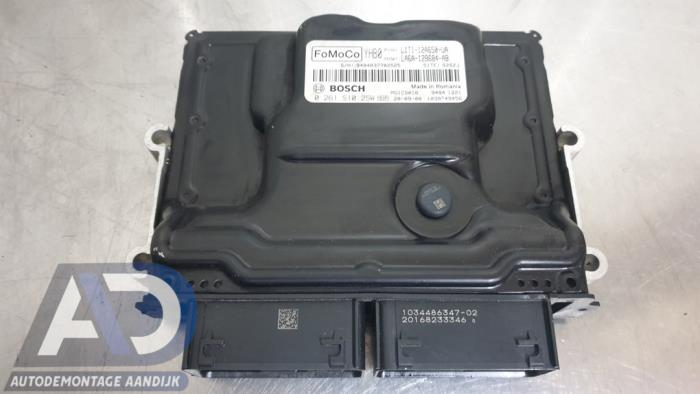 Gebruikte Computer Motormanagement Ford Puma 1.0 Ti-VCT EcoBoost mHEV 12V Prijs € 149,99 Margeregeling aangeboden door Autodemontage Aandijk