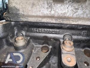 Gebruikte Cilinderkop Ford Transit Connect 1.8 TDdi LWB Euro 3 Prijs € 199,99 Margeregeling aangeboden door Autodemontage Aandijk