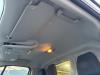 Ford Transit Custom 2.2 TDCi 16V Hemelbekleding