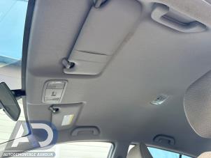 Gebruikte Hemelbekleding Honda Insight (ZE2) 1.3 16V VTEC Prijs € 99,99 Margeregeling aangeboden door Autodemontage Aandijk