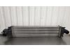 Ford Focus 3 1.6 EcoBoost 16V Intercooler
