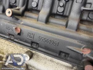 Gebruikte Draaiend Gedeelte motor Opel Adam 1.4 16V Prijs € 399,99 Margeregeling aangeboden door Autodemontage Aandijk