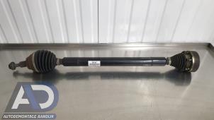 Gebruikte Homokineetas rechts-voor Seat Leon ST (5FF) 1.6 TDI Ecomotive 16V Prijs € 39,99 Margeregeling aangeboden door Autodemontage Aandijk