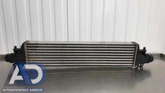 Gebruikte Intercooler Opel Corsa E 1.0 SIDI Turbo 12V Prijs € 99,99 Margeregeling aangeboden door Autodemontage Aandijk
