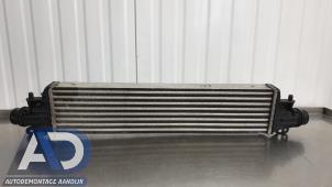Gebruikte Intercooler Opel Corsa E 1.0 SIDI Turbo 12V Prijs € 99,99 Margeregeling aangeboden door Autodemontage Aandijk