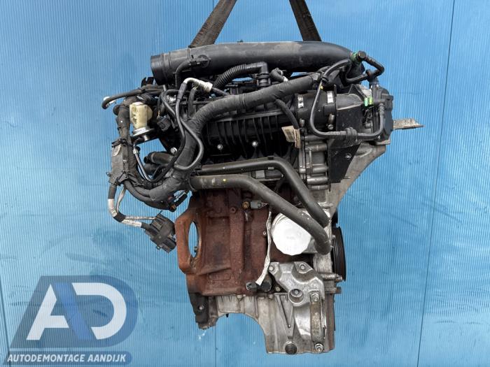 Gebruikte Motor Ford Fiesta 6 (JA8) 1.0 EcoBoost 12V 100 Prijs € 1.499,99 Margeregeling aangeboden door Autodemontage Aandijk
