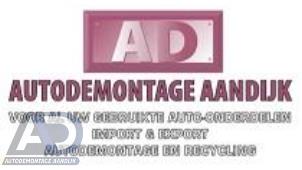 Gebruikte Benzinepomp Hyundai Coupe 2.0i FX 16V Prijs € 44,99 Margeregeling aangeboden door Autodemontage Aandijk