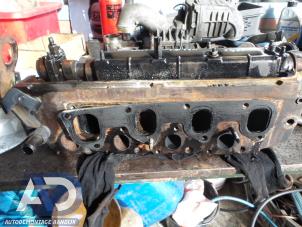 Gebruikte Cilinderkop Ford Focus 1 Wagon 1.8 TDdi Prijs op aanvraag aangeboden door Autodemontage Aandijk