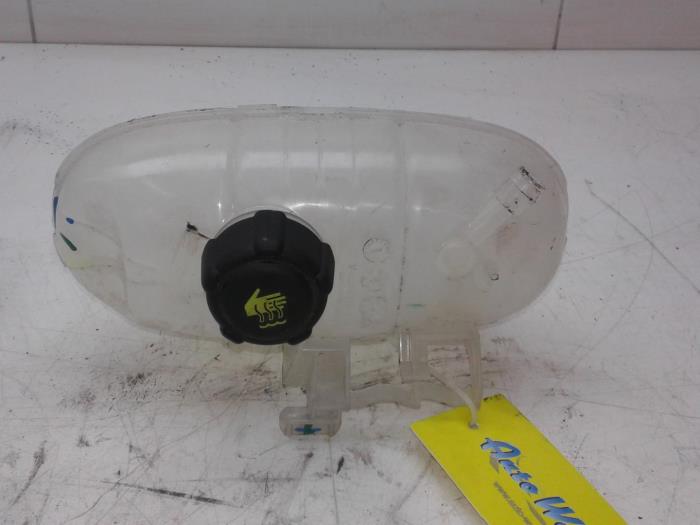 RENAULT Trafic 3 generation (2014-2023) Expansion Tank 217101893R 17338967