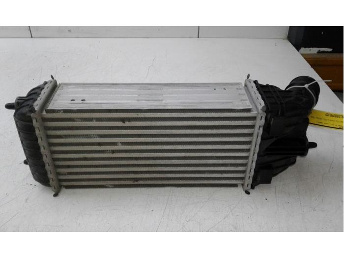 Gebruikte Intercooler Opel Crossland (X) 1.2 Turbo 12V Euro 6d-temp Prijs € 61,95 Margeregeling aangeboden door Wessel Parts & Service B.V.
