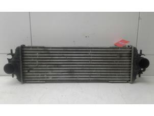 Gebruikte Intercooler Opel Vivaro 1.9 DTI 16V Prijs € 56,00 Margeregeling aangeboden door Wessel Parts & Service B.V.