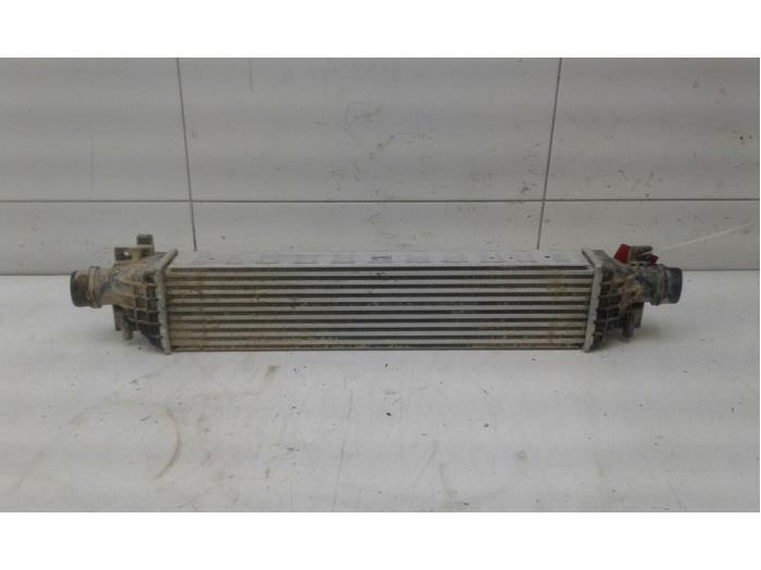 Gebruikte Intercooler Opel Mokka/Mokka X 1.4 Turbo 16V Bi-fuel ecoFLEX 4x2 Prijs € 131,25 Margeregeling aangeboden door Wessel Parts & Service B.V.