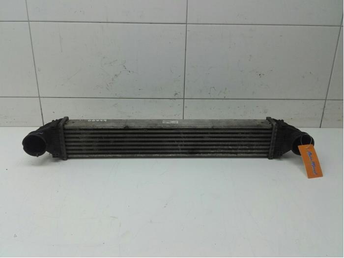 MERCEDES-BENZ A-Class W169 (2004-2012) Intercooler Radiator 1695000000 14721780