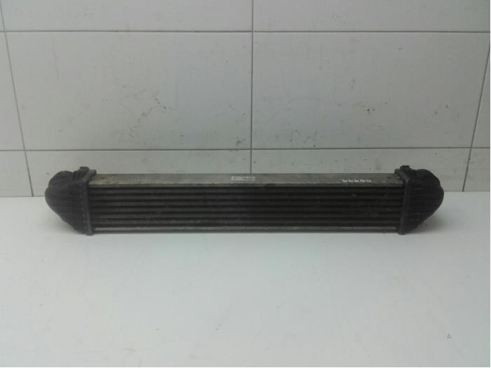 MERCEDES-BENZ A-Class W169 (2004-2012) Intercooler Radiator 1695000000 14721780