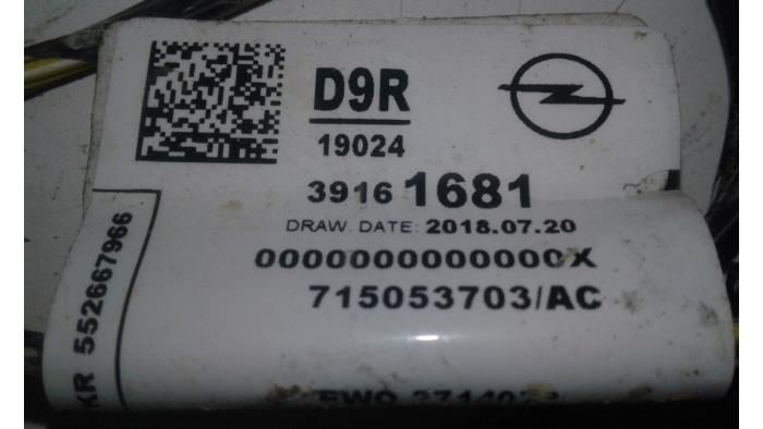 OPEL Corsa F (2019-2023) Парктроники заднего бампера 39161681 17333996