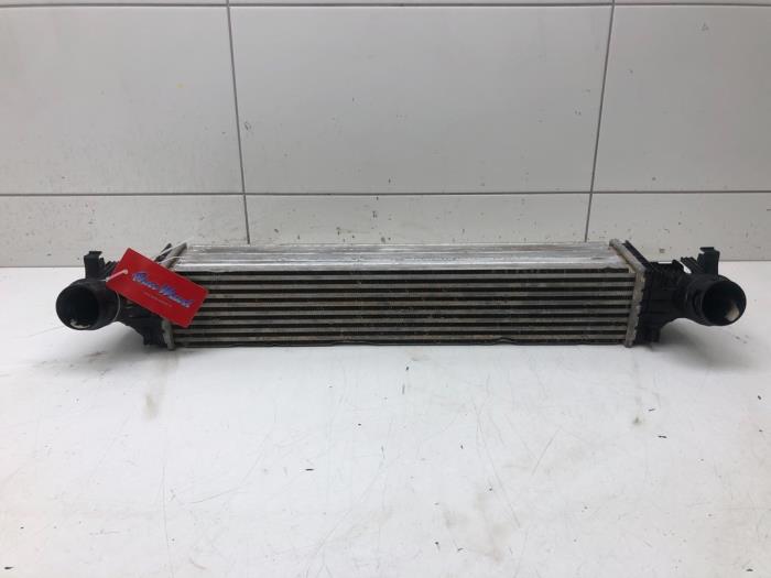 Gebruikte Intercooler Opel Astra K 1.6 CDTI 110 16V Prijs € 103,95 Margeregeling aangeboden door Wessel Parts & Service B.V.