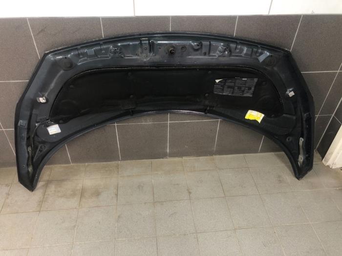 RENAULT Scenic 2 generation (2003-2010) Motora pārsegs 7751474289 21252067