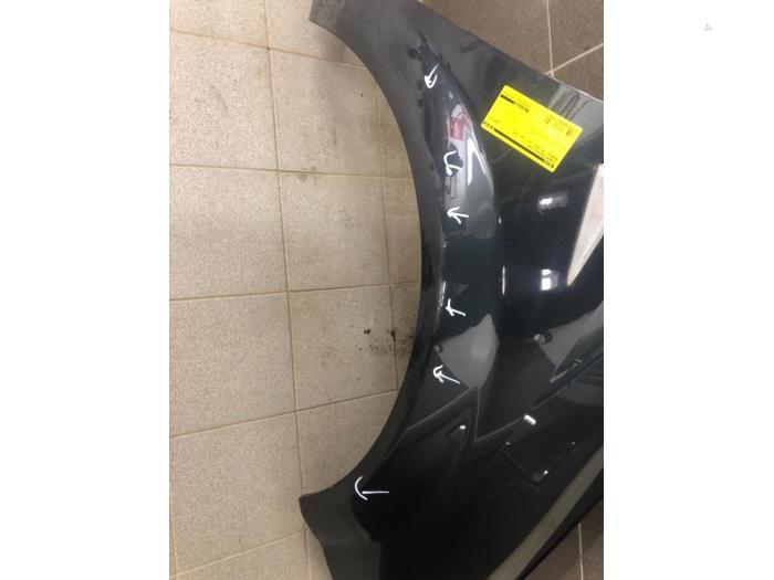 RENAULT Scenic 2 generation (2003-2010) Front Left Fender 7701474853 21169227