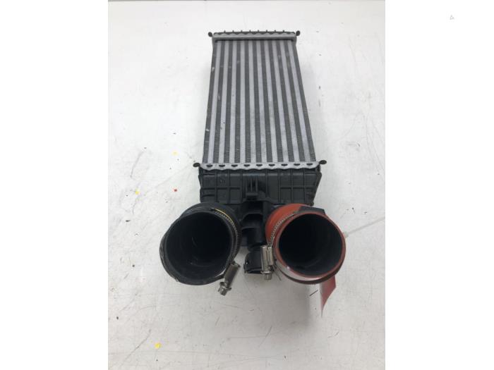 Gebruikte Intercooler Opel Crossland (X) 1.2 Turbo 12V Prijs € 61,95 Margeregeling aangeboden door Wessel Parts & Service B.V.